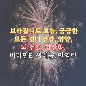 브라질너트 효능